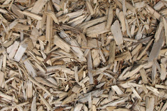 biomass boilers Forestdale